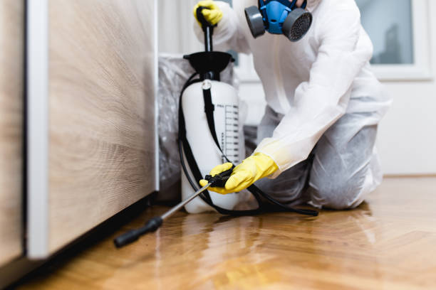 Best Best Pest Control Companies  in Lisbon, ND