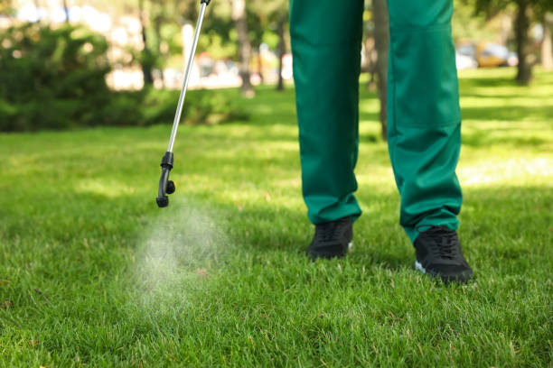 Best Affordable Pest Control Services  in Lisbon, ND