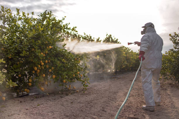 Best Mosquito Control Services  in Lisbon, ND