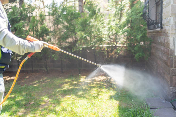 Flea Control Services in Lisbon, ND