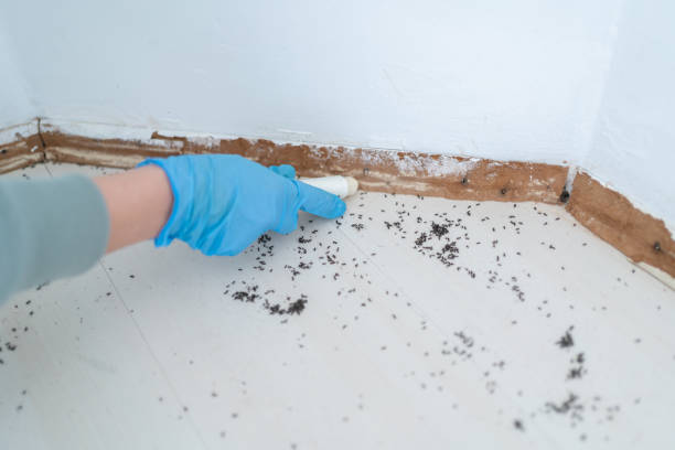 Best Pest Prevention Services  in Lisbon, ND
